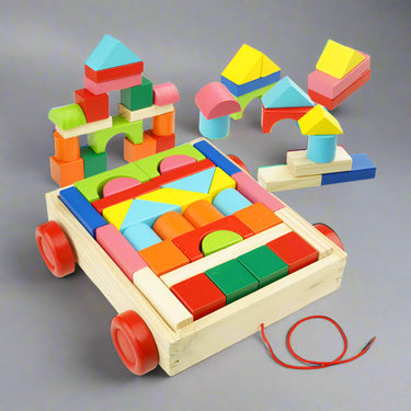 WOODEN CONSTRUCTION SORTER BLOCKS